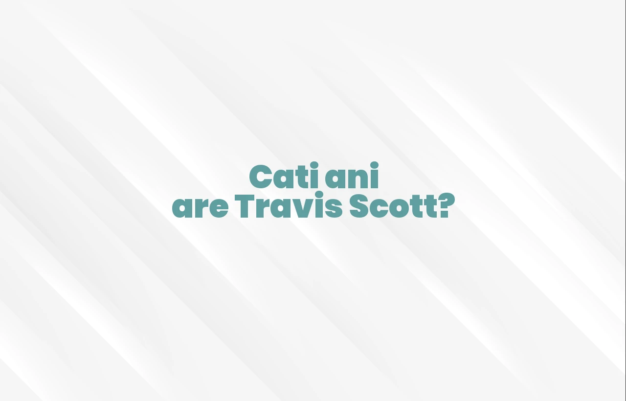 cati ani are travis scott