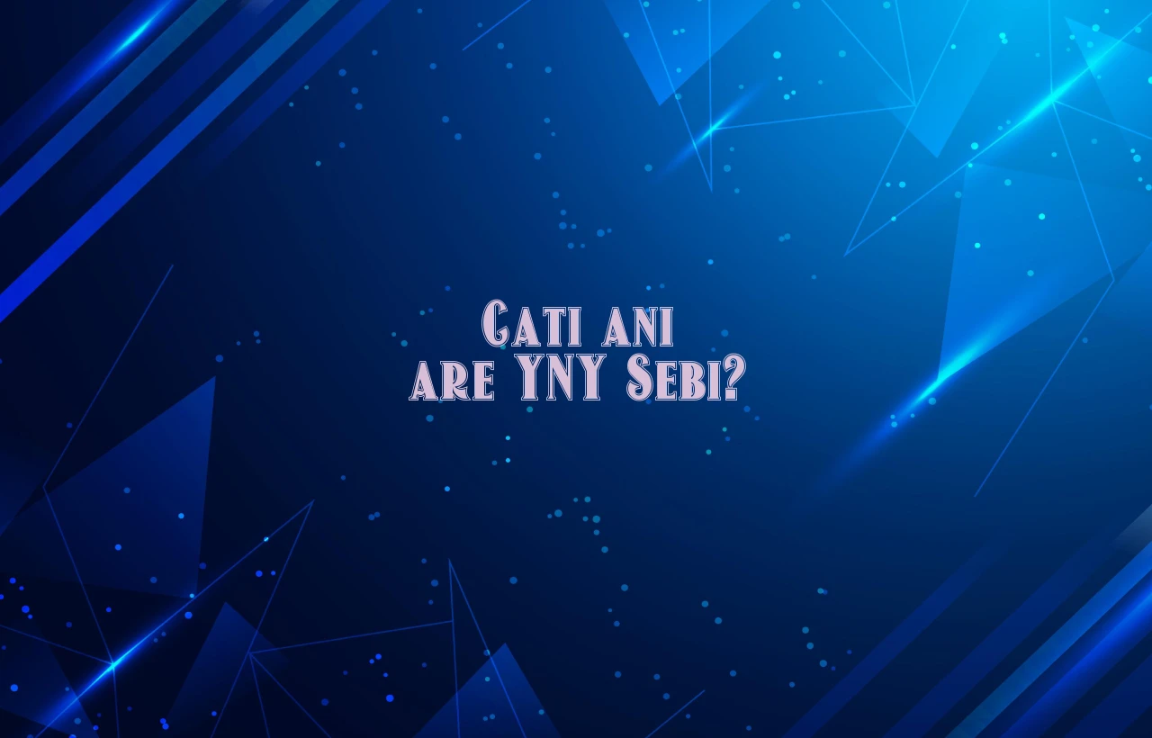 cati ani are yny sebi