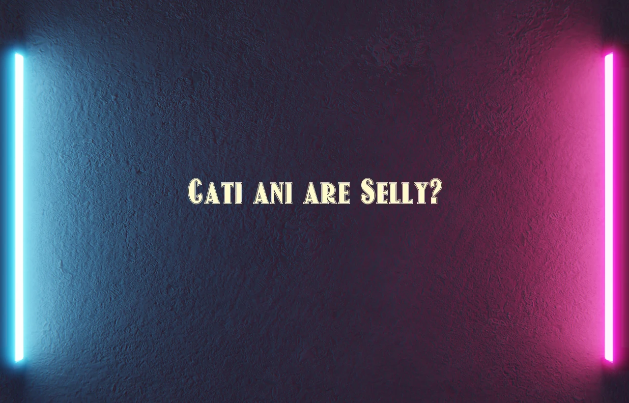 cati ani are selly