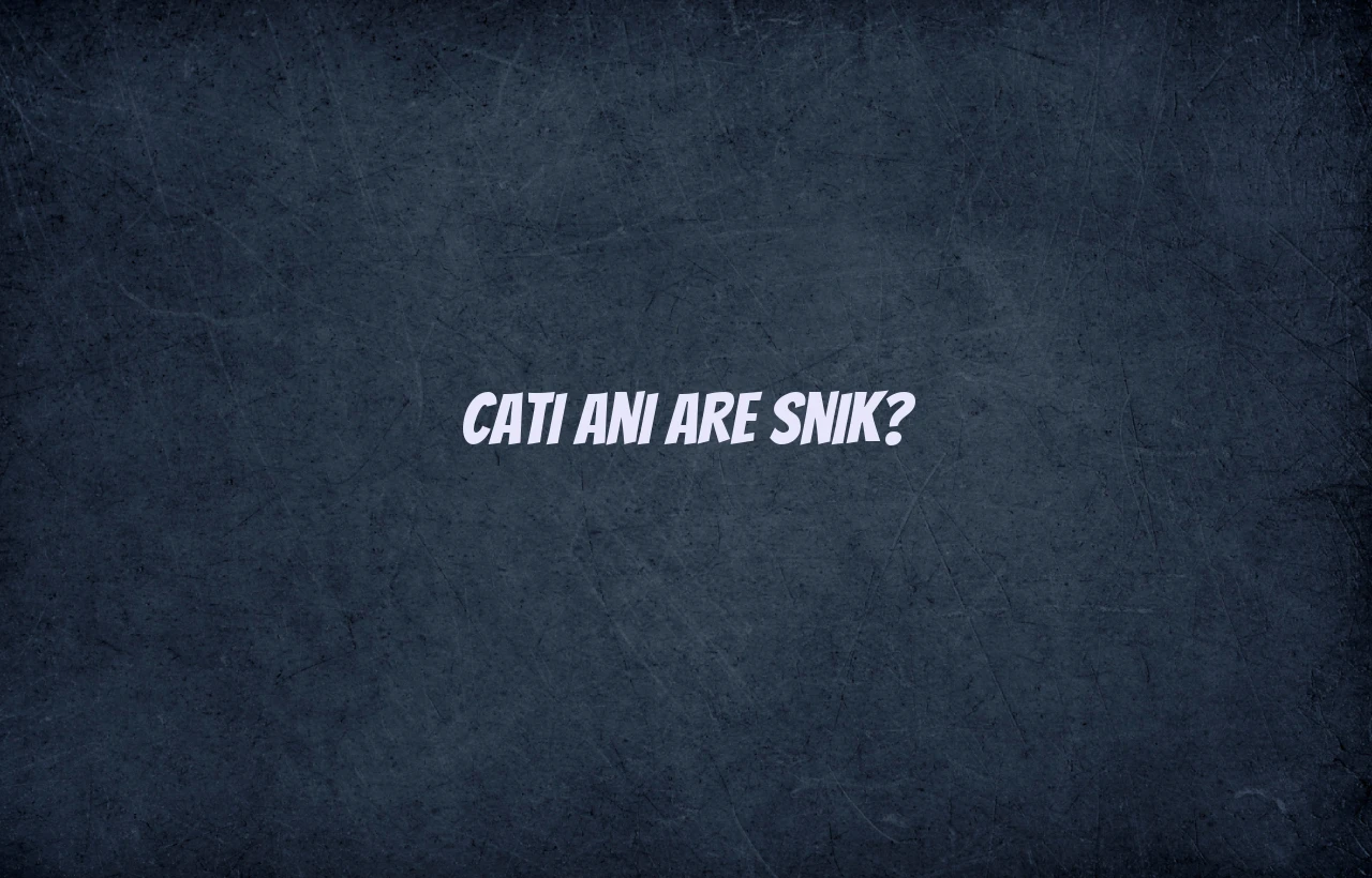cati ani are snik