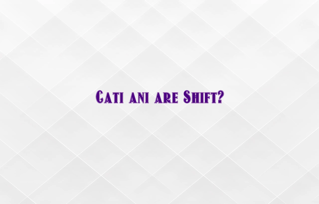 cati ani are shift