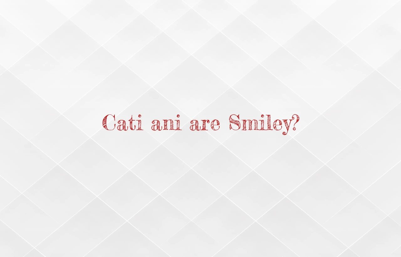cati ani are smiley