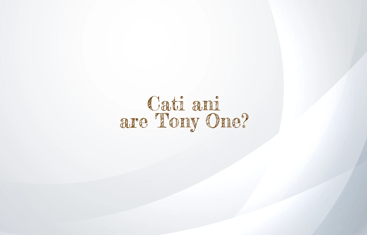 cati ani are tony one