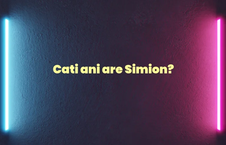 cati ani are simion