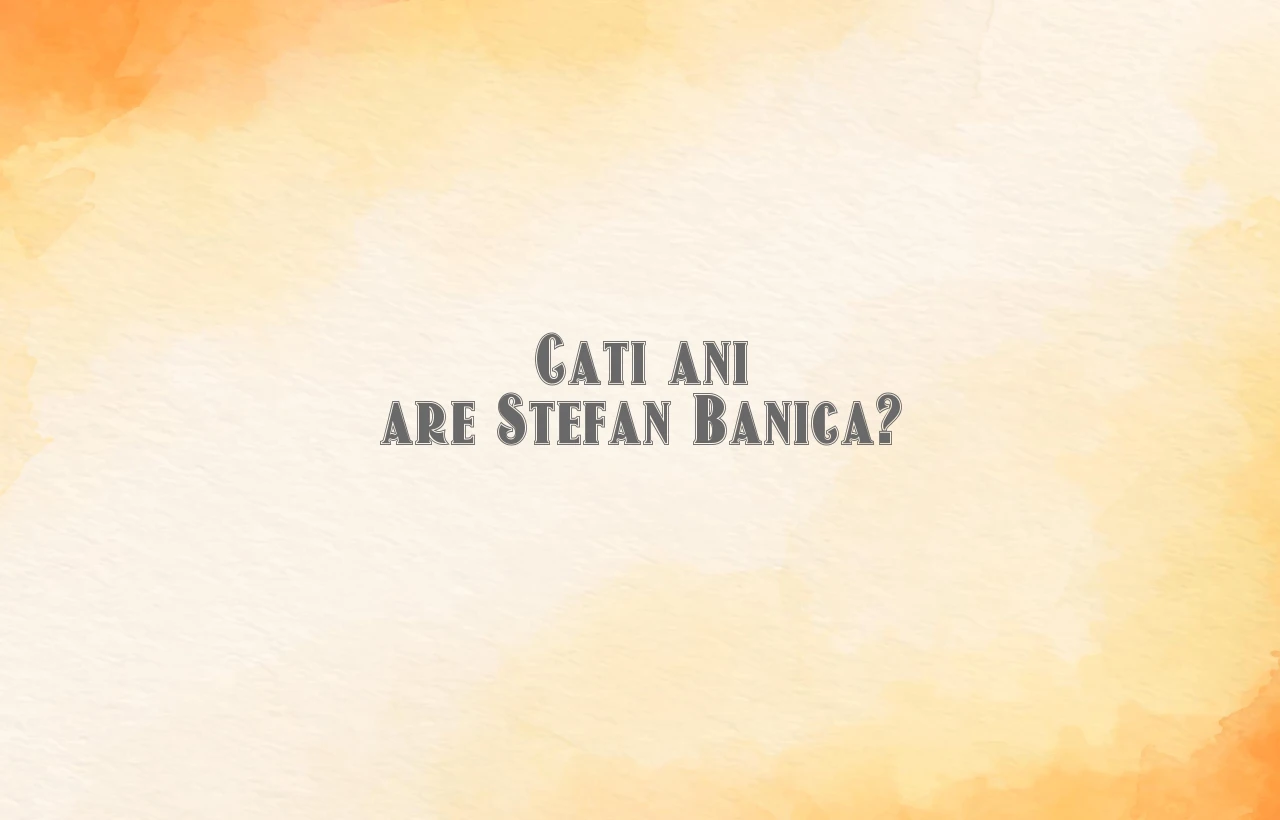cati ani are stefan banica