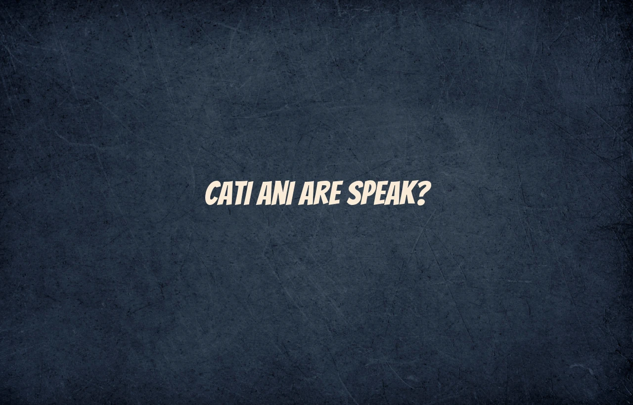 cati ani are speak