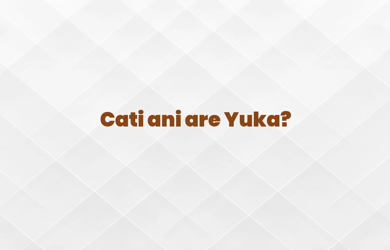 cati ani are yuka