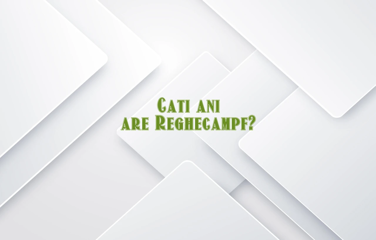 cati ani are reghecampf