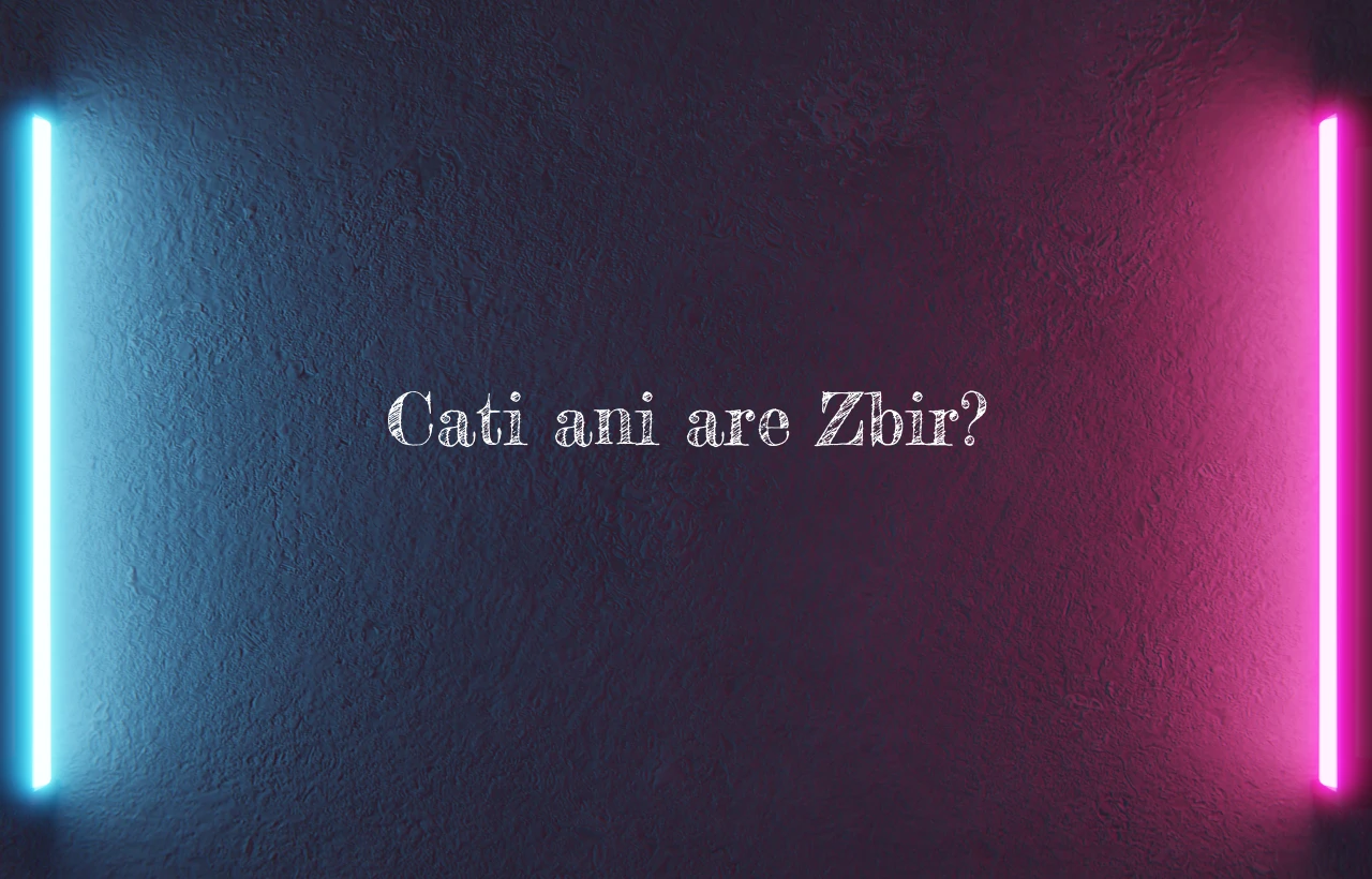 cati ani are zbir