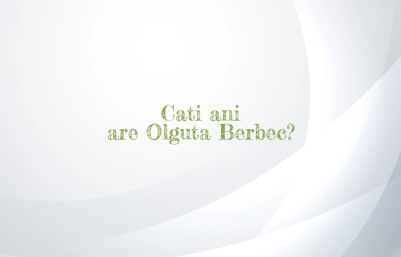 cati ani are olguta berbec