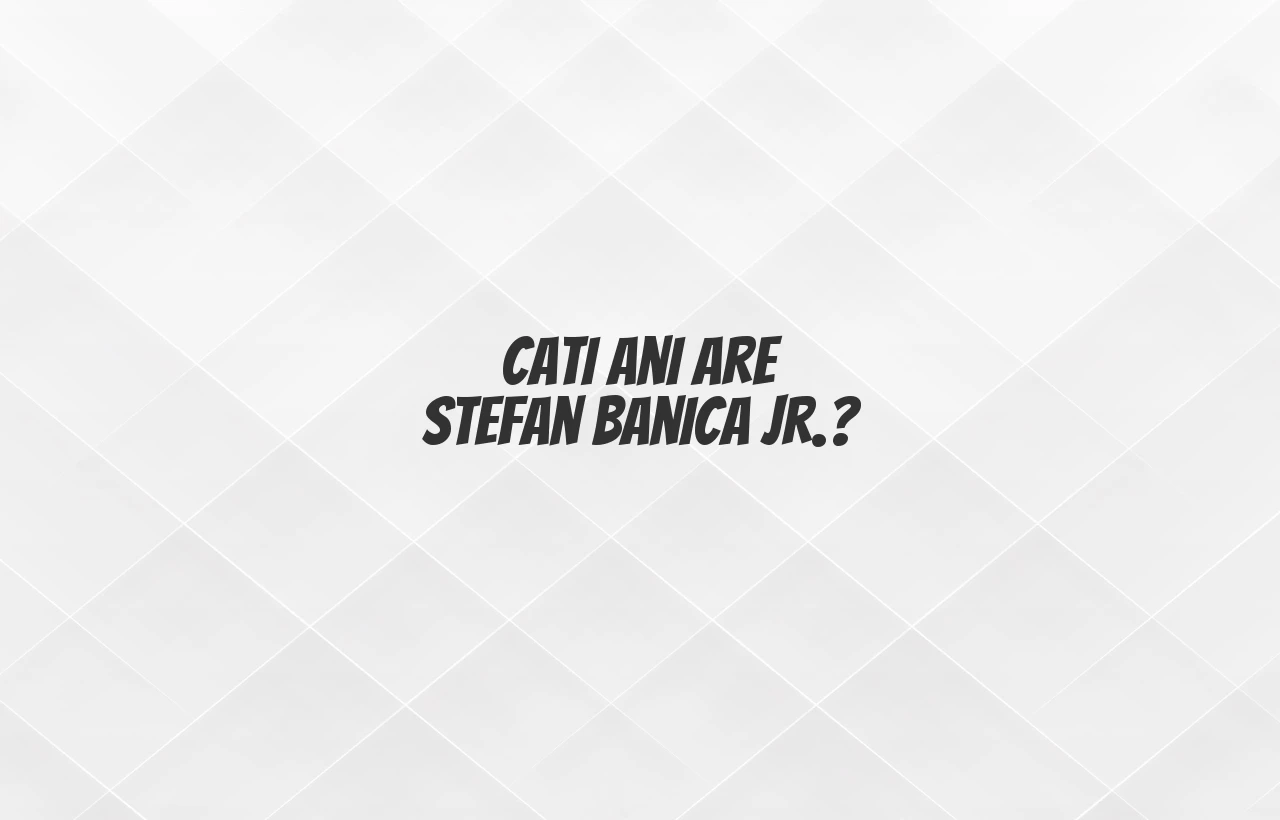cati ani are stefan banica jr