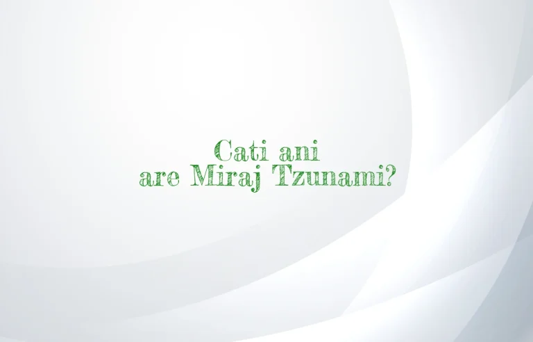 cati ani are miraj tzunami