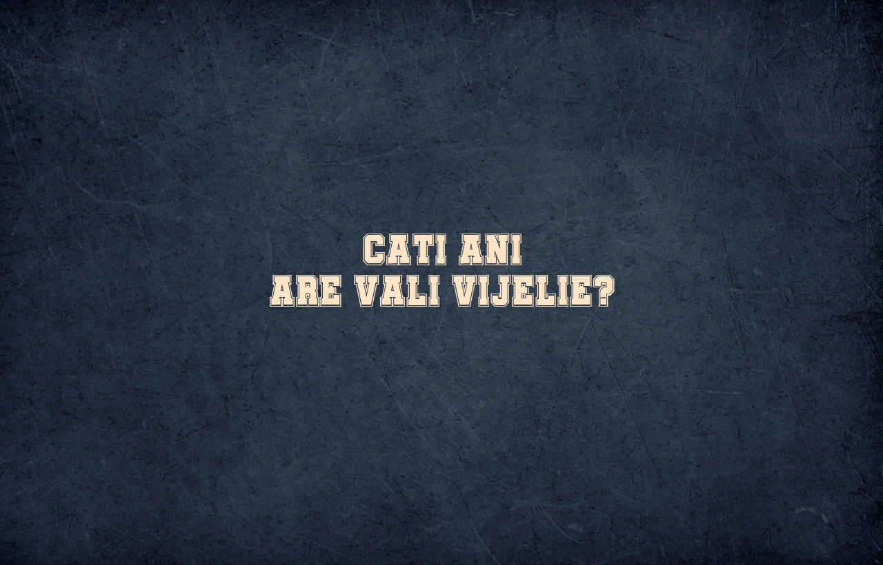 cati ani are vali vijelie