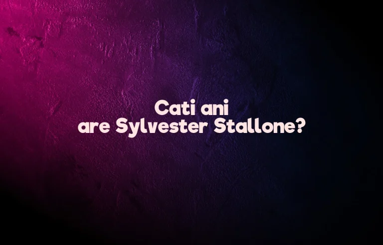 cati ani are sylvester stallone