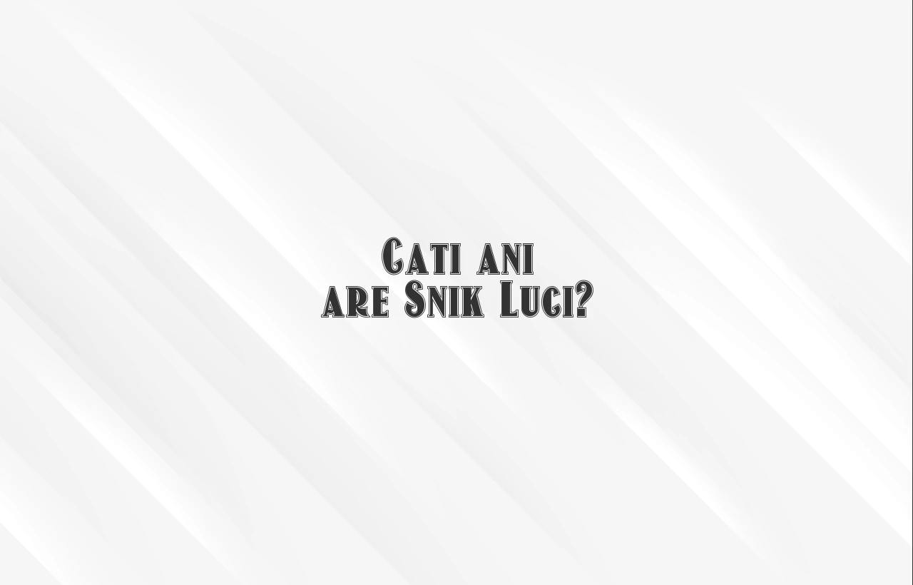 cati ani are snik luci