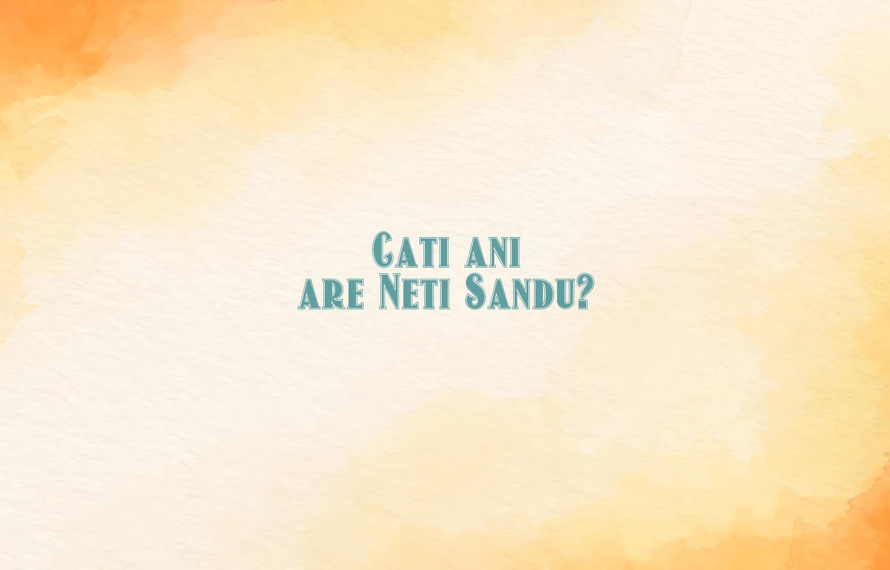cati ani are neti sandu
