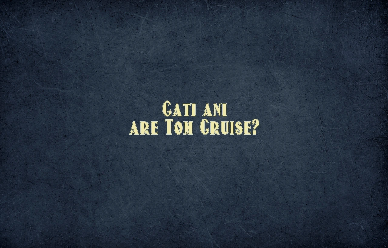 cati ani are tom cruise