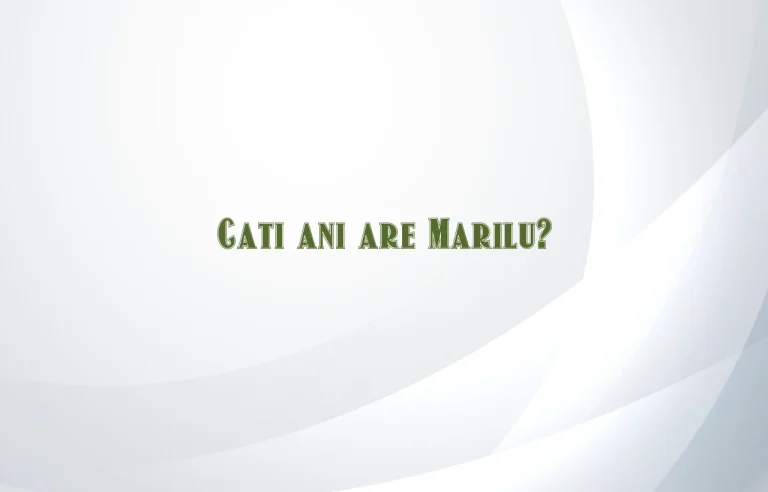 cati ani are marilu
