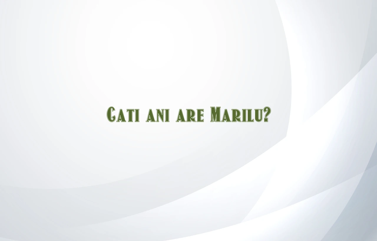 cati ani are marilu