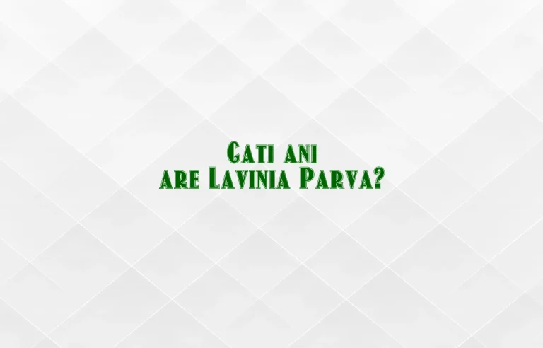 cati ani are lavinia parva