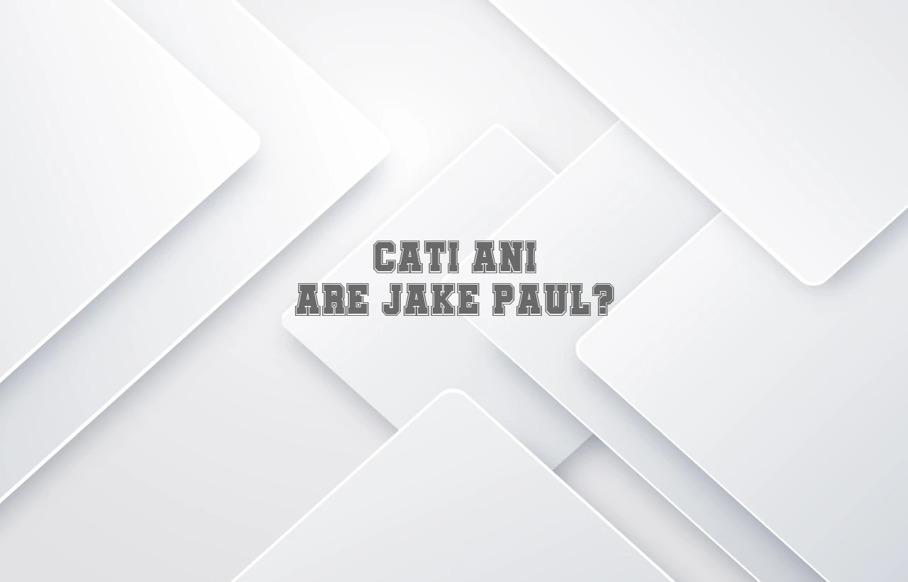 cati ani are jake paul