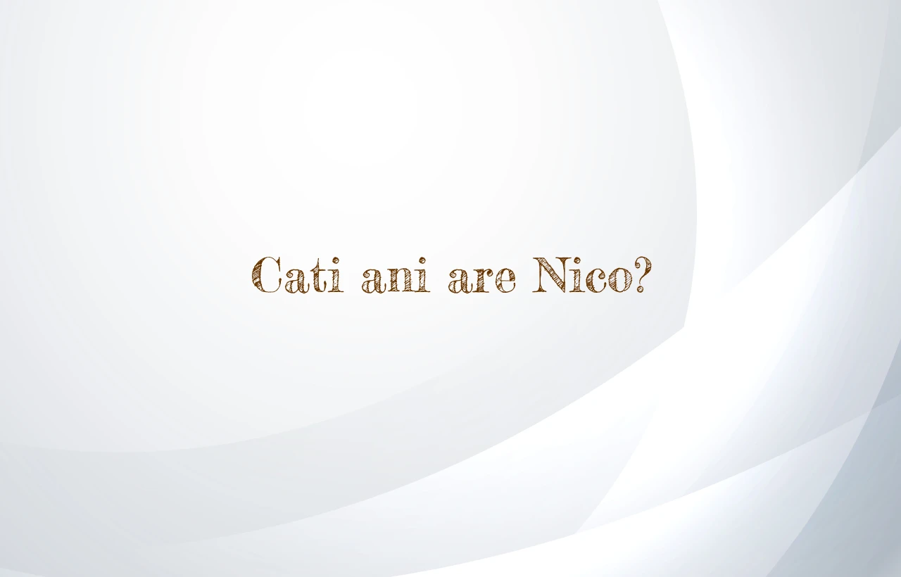 cati ani are nico