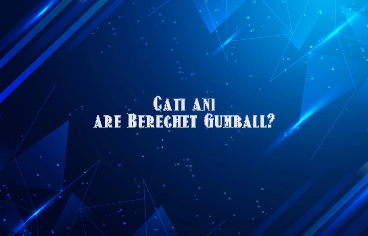cati ani are berechet gumball
