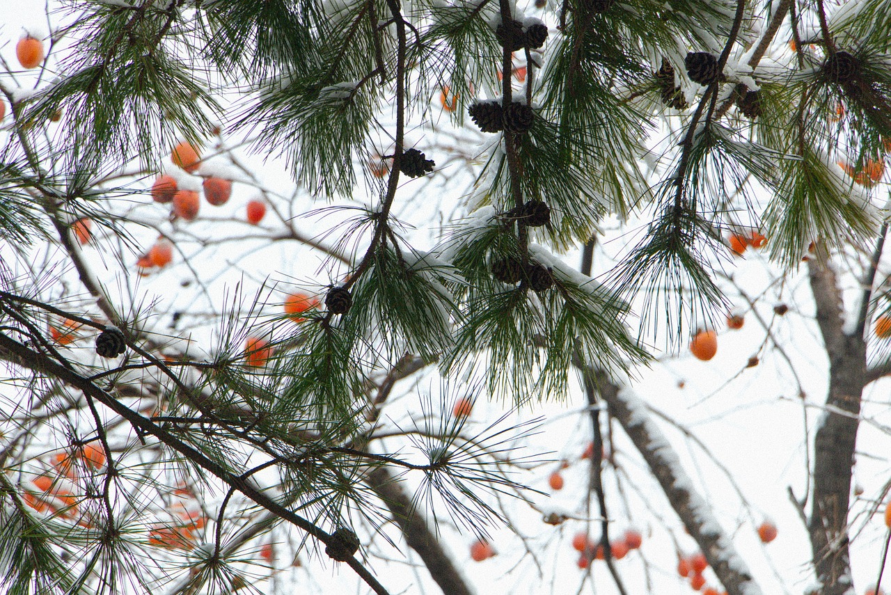10 lucruri pe care le-am pierdut la festivalul mamaia