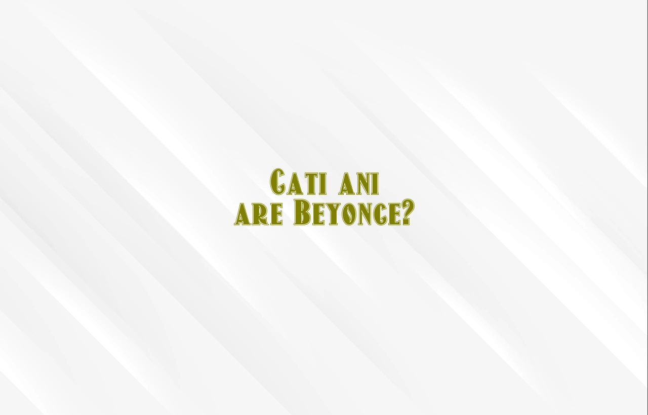 cati ani are beyonce