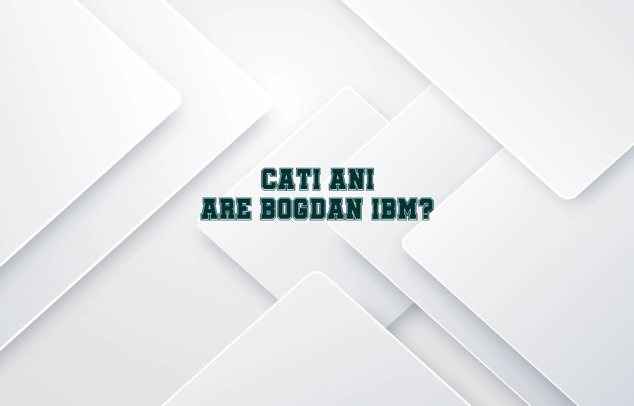 cati ani are bogdan ibm