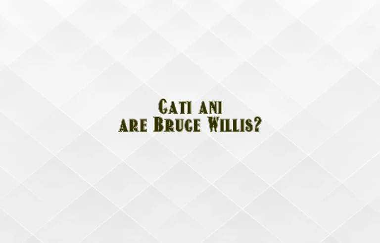 cati ani are bruce willis