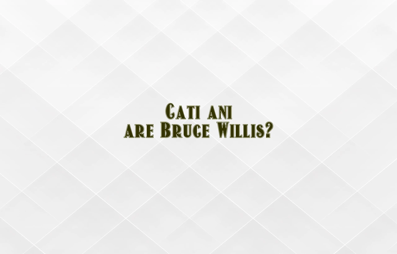 cati ani are bruce willis