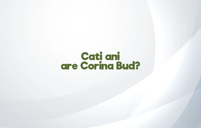 cati ani are corina bud