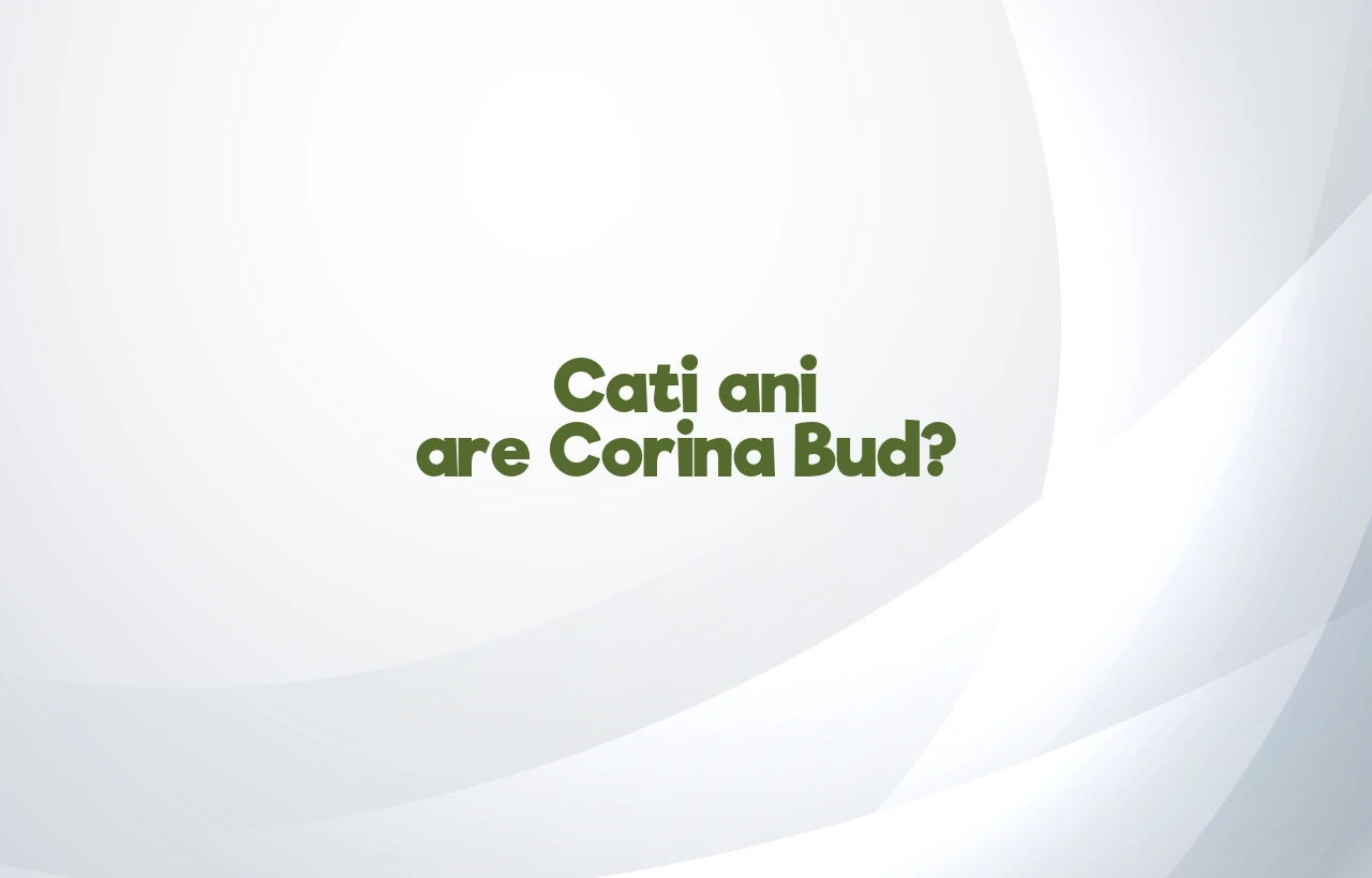 cati ani are corina bud