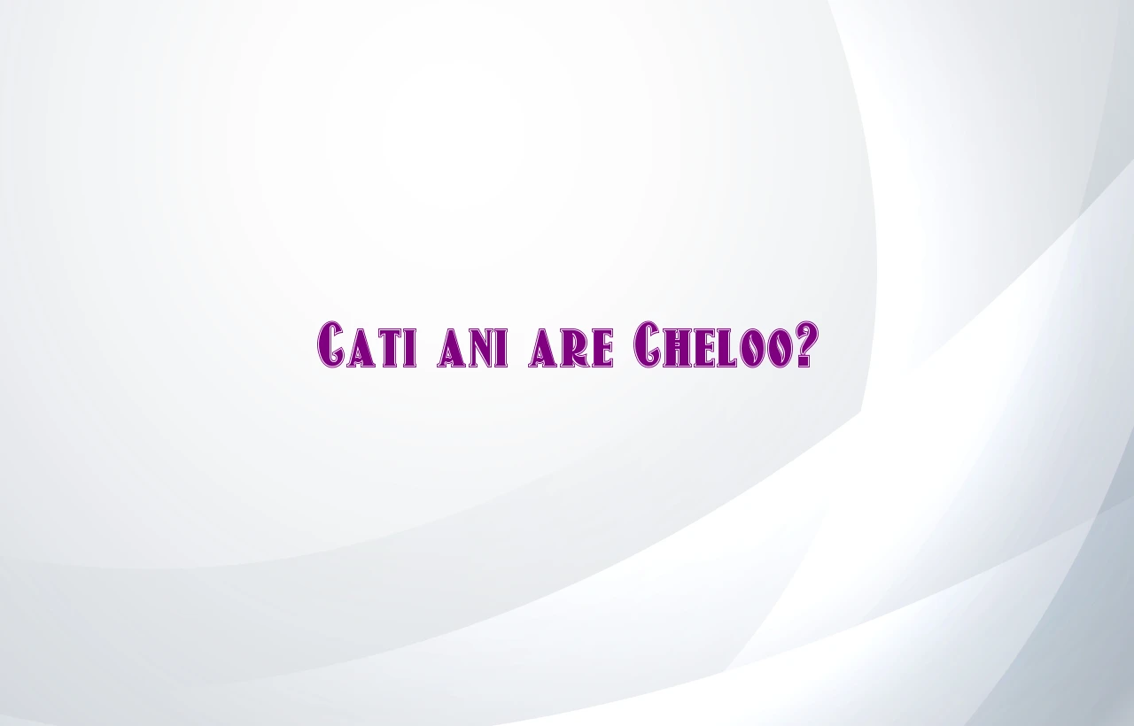 cati ani are cheloo