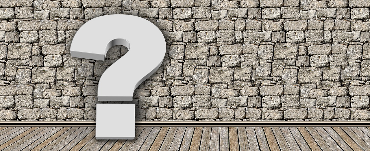 flavia mihasan divort