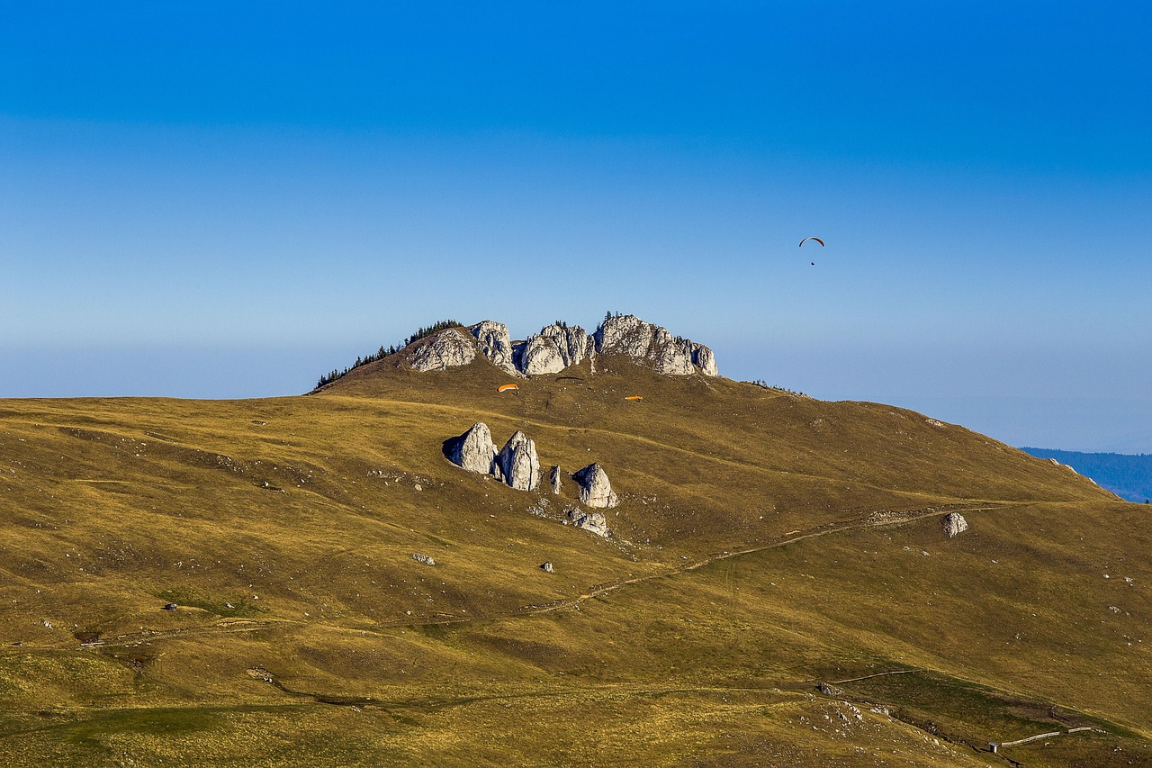 romania mea versuri